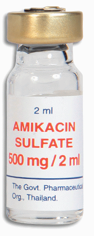 Image of amikacin gpo inj 500 mg-2 ml | MIMS Thailand