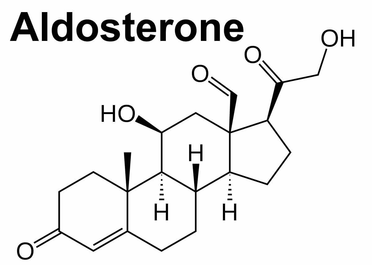 Aldosterone hormone function, production, causes of high or low aldosterone