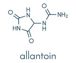 All About Allantoin—Skin Care Benefits, Tips & Products – Tiege Hanley