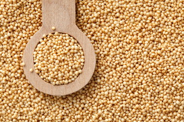 Going Vegan: Tiny, nutritious amaranth is not just for the birds -  oregonlive.com