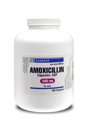 Amoxicillin 500 mg, 500 Capsules Pet Antibiotic