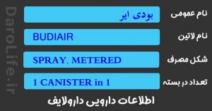 بودی ایر