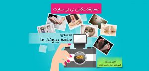 برندگان مسابقه حلقه ازدواج اعلام شدند