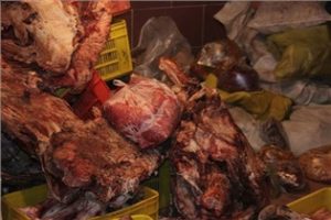 امان از گوشت‌های کرم‌زده