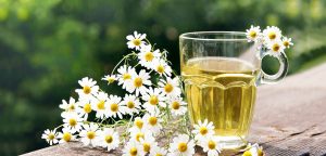 بابونه؛ درمان بیماری‌های پوستی