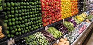 کارگاه و تور نمایشگاهی رایگان برای کاربران نی‌نی‌‌‌‌‌‌‌سایت