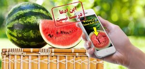 با خیال راحت هندوانه بخورید!