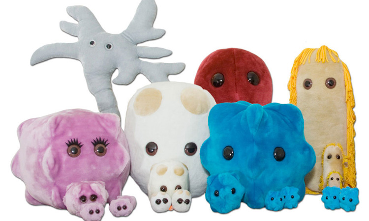 شرکت GIANT microbes در سال 2002 با هدف آموزش اهمیت شستن دست‌ها به بچه‌ها افتتاح شد و امروز بیش از 400 عروسک مختلف تولید می‌کند