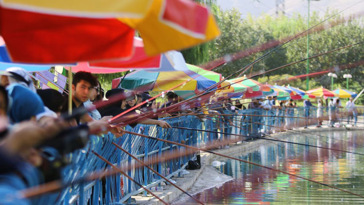 جشنواره ماهیگیری تهران