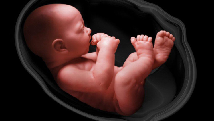 استفاده از رحم جایگزین در برخی موارد برای حل مشکل ناباروری پیشنهاد می شود