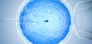 IVF باعث سرطان تخمدان می‌شود؟