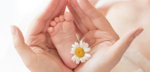 خواص چای بابونه برای نوزادان