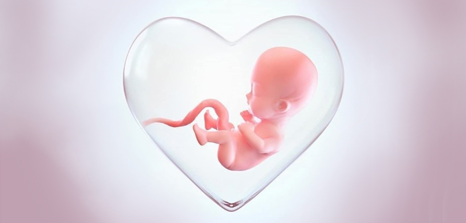 غربالگری قلب جنین چه زمانی باید انجام شود؟