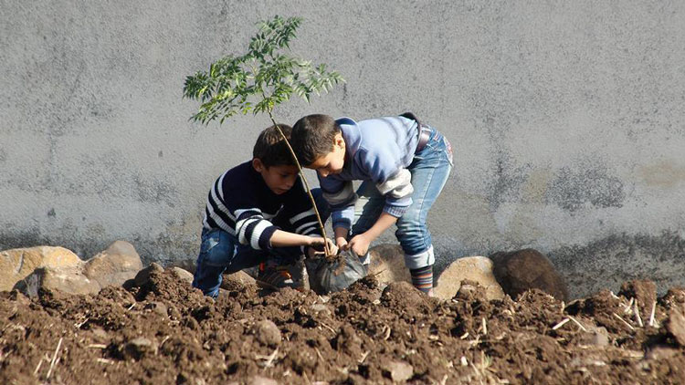 کاشت درخت در روز درختکاری