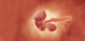 بیماری روانی پدر به جنین منتقل می شود؟