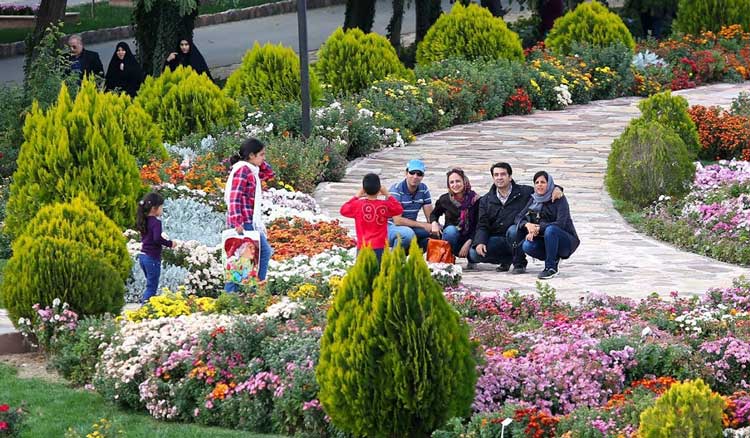 باغ گیاهشناسی و جشنواره گل داوودی
